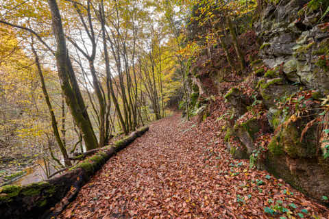 Gemeinde Obernzell Landkreis Passau Erlau Erlautal Wanderweg Herbst (Dirschl Johann) Deutschland PA